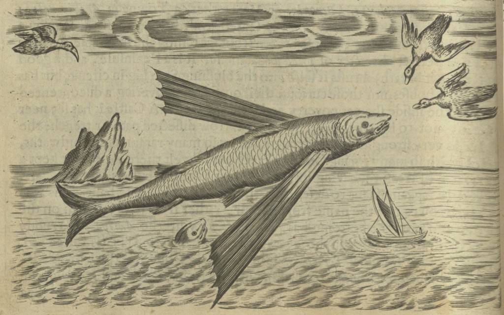 a flying sish with large winglike fins soars over a sea. below the face of another fish and a small boat can be seen. three birds are in the air