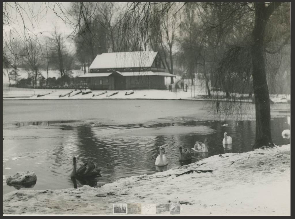 A snowy park scene showing the sons of rest building in the background. In from are tress, a swans and boats on the lake shore.