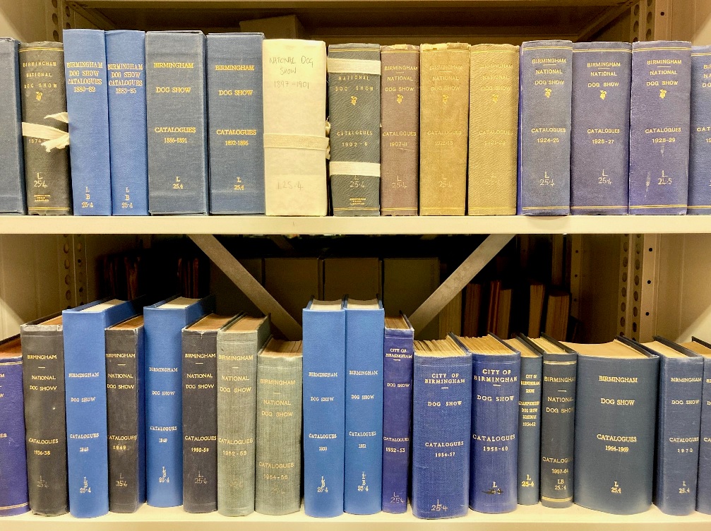 Two shelves containing bound volumes with writing on the spines.
